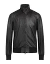 STEWART STEWART MAN JACKET DARK BROWN SIZE M COTTON, LAMBSKIN, ACETATE