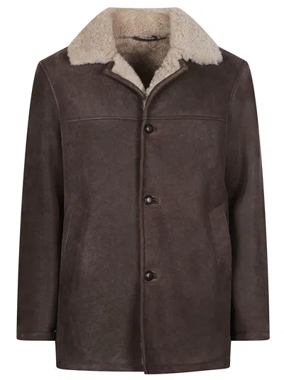 Stewart Steve Shearling Shearling-lined Brown Leather Jacket