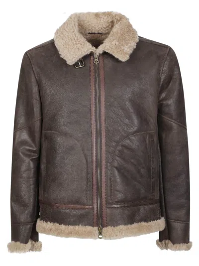 Stewart Sylvester-aviator Jacket In Brown