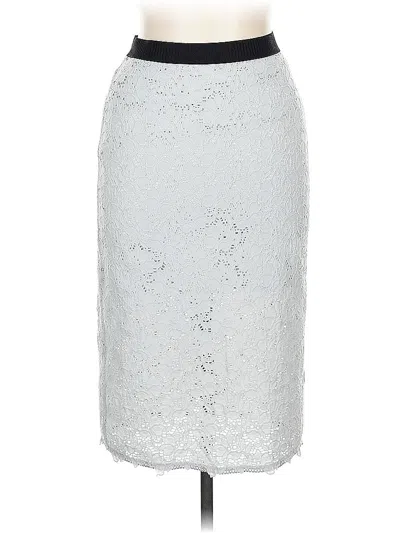 Pre-owned Stile Benetton Formal Skirt In Silver