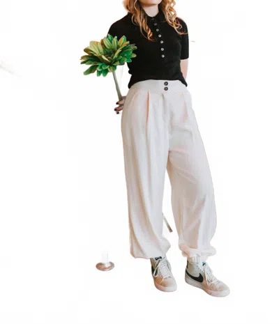 Stillwater Twill Dylan Pants In Artic Wolf In White