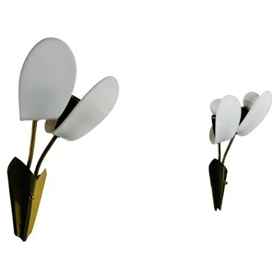 Pre-owned Stilnovo Pair Of Mid-century Brass And Plexi Glass Wall Lamps, Italy, 1960s In Transparent