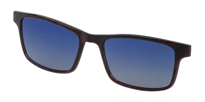 Sting Agsj678 Clip-on Only Polarized 978p Occhiali Da Sole Tartarugatishell Per Uomo In Brown