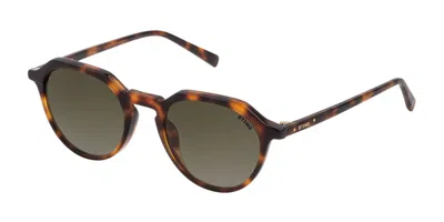 Sting Sst364 01gz Men's Sunglasses Tortoiseshell Size 49 In Brown