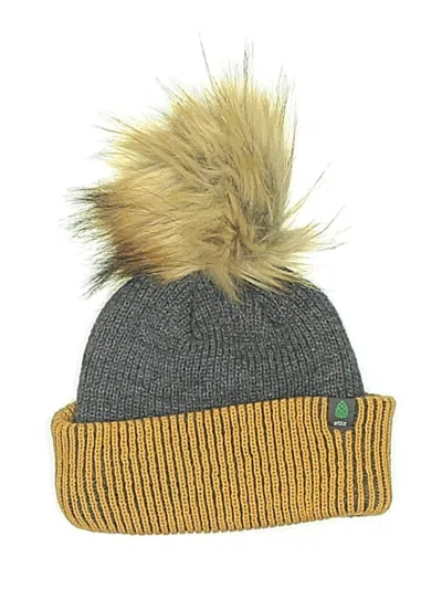 Pre-owned Stio Beanie Hat In Gray