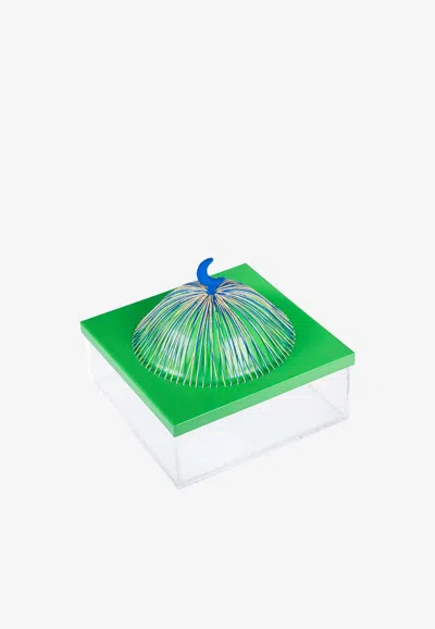 Stitch Medium Acrylic Dome Box In Green
