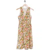 Stitchdrop Springwater Print Sleeveless Dress In Coral