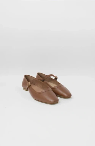 Stivali New York Eterna Mary Jane Ballet Flat In Brown