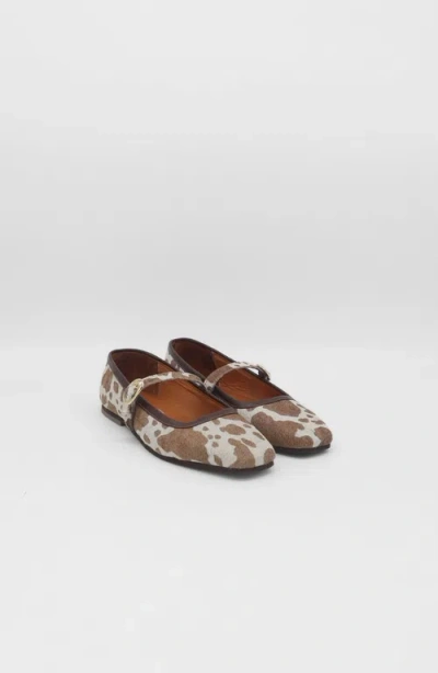 Stivali New York Tribeca Mary Jane Ballet Flat In Brown