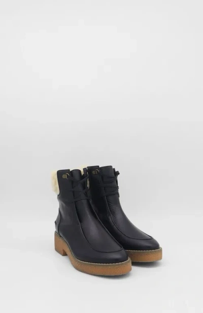 Stivali New York Vetta Ankle Boots In Black