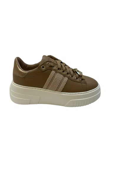 Stokton - Camel 886-d In Brown