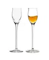 Stolzle Lausitz Quatrophil Grappa Liqueur Glasses, Set Of 2 In Crystal