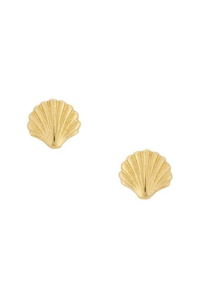 Stone And Strand Scallop Shell Earrings In Gold