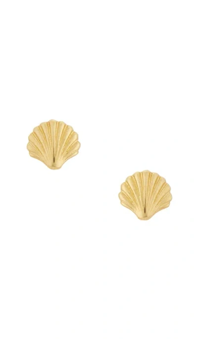 Stone And Strand Scallop Shell Earrings In Gold