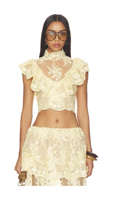Stone Cold Fox X Revolve Celia Top In Neutral