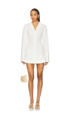 Stone Cold Fox X Revolve Hannah Shirt Dress
