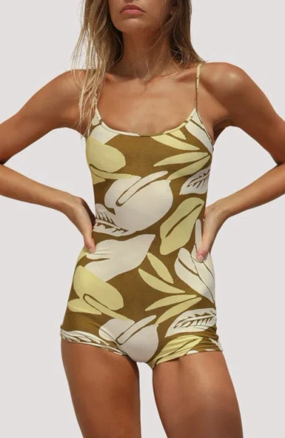 Stone Fox Swim Bobby Print One-piece Swimsuti In Blue