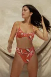 Stone Fox Swim Sumatra Bikini Bottom In Multi
