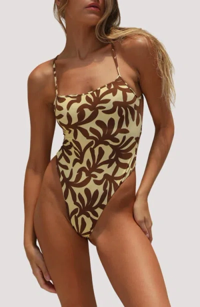 Stone Fox Tahlia One-piece Swimsuit In Brown