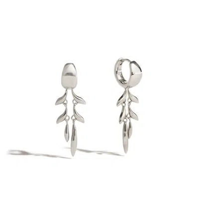 Stone Fruit Women's Fishbone Hoops - Silver