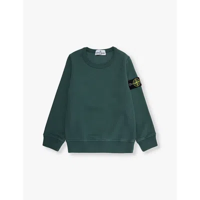 Stone Island Boys Petrol Kids Brand-patch Crewneck Cotton-jersey Sweatshirt 4-14 Years 14