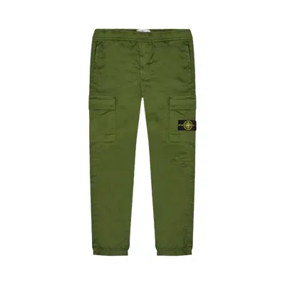Pre-owned Stone Island Cargo Pants 'olive' | Green | Men's Size 30