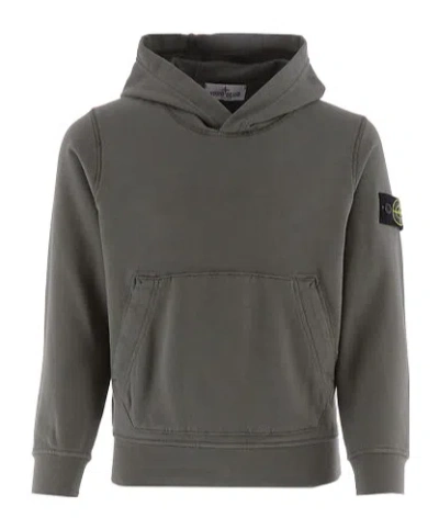Stone Island Compass-badge Cotton Hoodie In Green