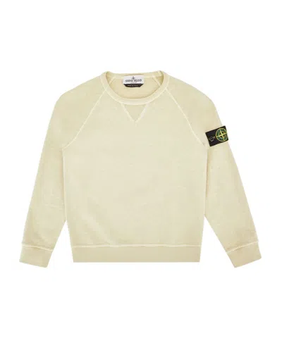 Stone Island Compass-detachable Badge Sweatshirt In Nude