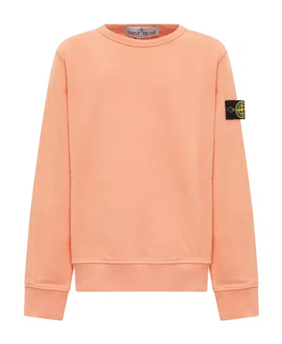 Stone Island Compass-motif Cotton Hoodie In Pink