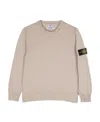 Stone Island Neutral Compass-patch Cotton Sweater In Gray