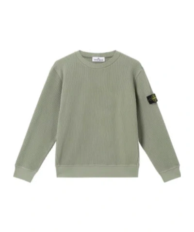 Stone Island Crewneck Sweatshirt In Organic Cotton Waffle Fleece In Sage