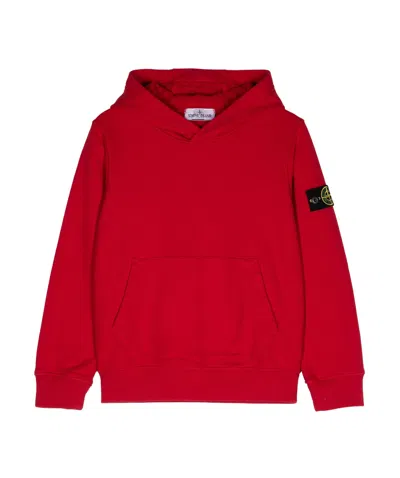 Stone Island Hooded Sweater In Red