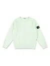 Stone Island Compass-badge Sweatshirt In Grün