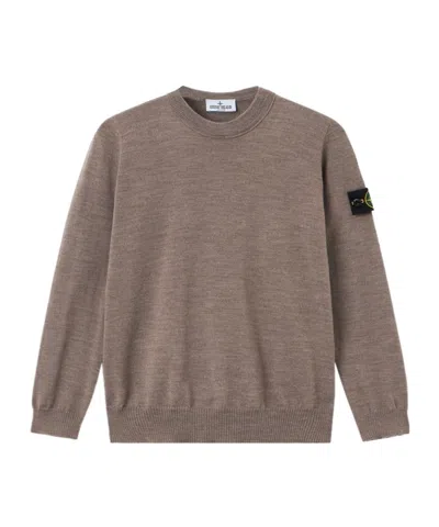 Stone Island Junior Compass Patch Crewneck Jumper In Brown