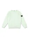 Stone Island Compass-badge Sweatshirt In Clorophil