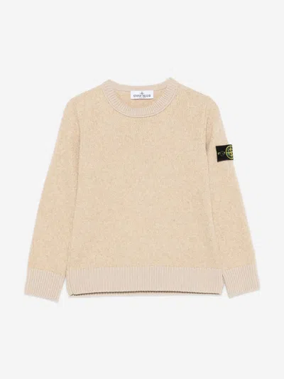 Stone Island Junior  Kids Knitted Logo Jumper In Brown
