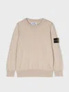 Stone Island Neutral Compass-patch Cotton Sweater In Beige