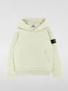 Stone Island Compass Badge Hoodie In Beige