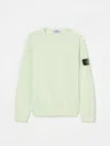 Stone Island Compass-badge Sweatshirt In Green