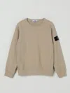 Stone Island Sweater  Junior Kids Color Sand In Neutral