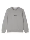 Stone Island Sweatshirt In Dust
