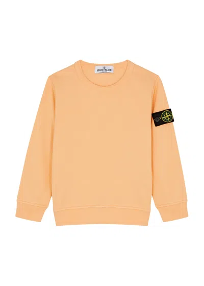 Stone Island Kids Logo Cotton Sweatshirt (2-4 Years) In Orange