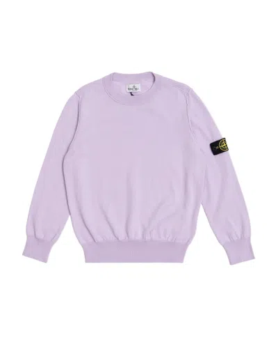 Stone Island Logo Long-sleeved Sweater In Purple