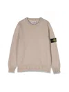 Stone Island Pull Roll In Neutral