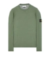 Stone Island Green Crewneck Sweatshirt With Logo Patch On The Sleeve In Cotton Man In Vert