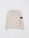 Stone Island Sweatshirt In Neutral