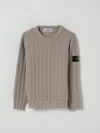 Stone Island Sweater  Junior Kids Color Sand In Neutral