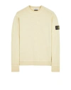 Stone Island Relaxed Fit Long-sleeve Crewneck Sweatshirt With Distinctive Patch Logo In Beige