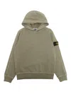 Stone Island Sweatshirt In Brown