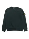 Stone Island 811661320v0057 In Green